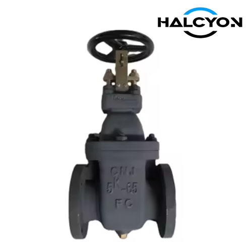 JIS 5K Cast Iron Gate valve